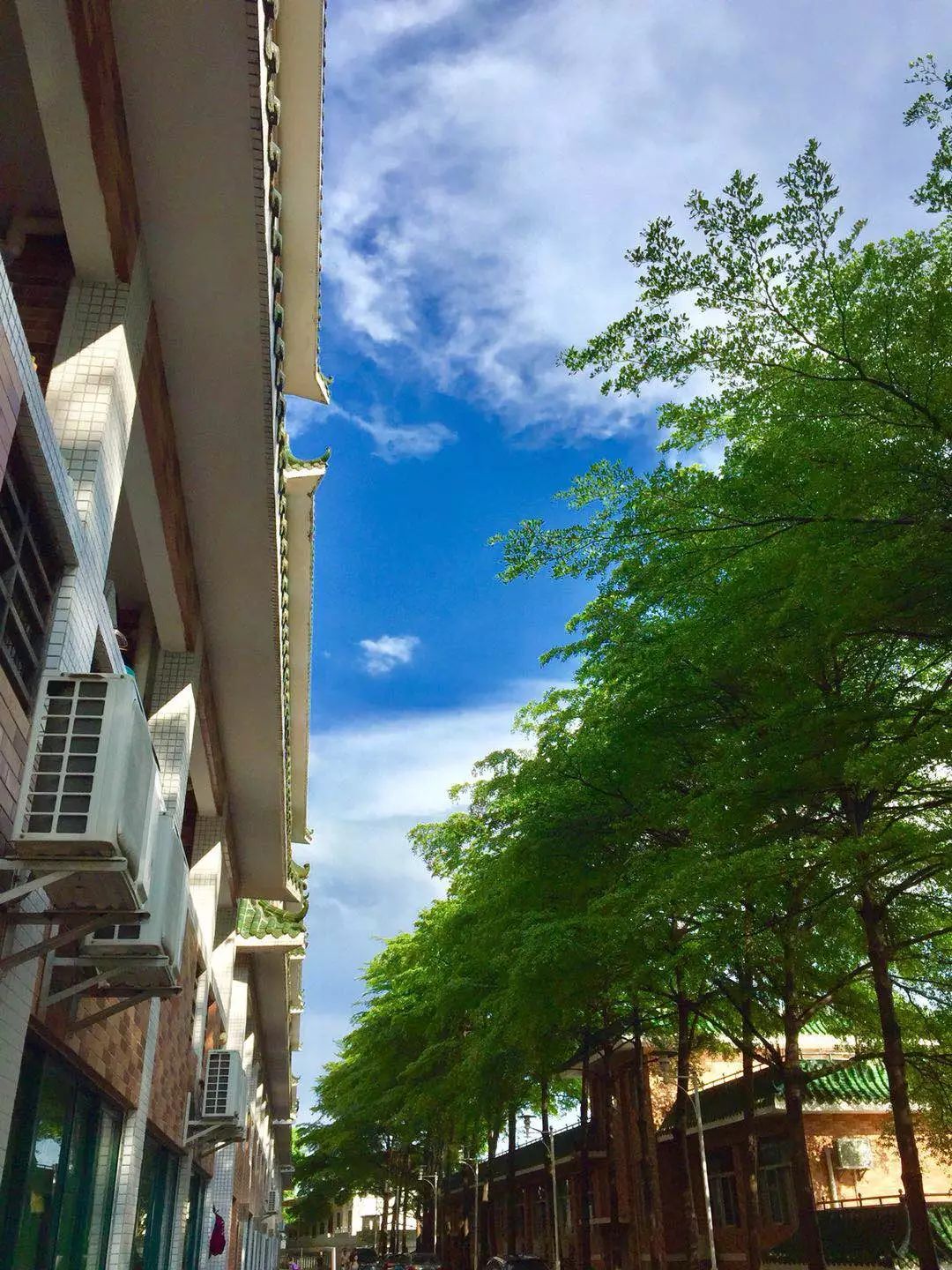 内外兼修的美才是真正的美,内外兼修的美丽