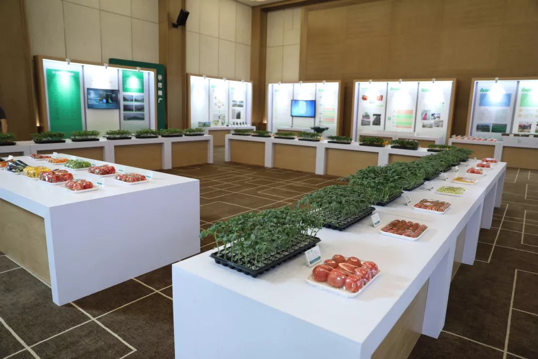 干事创业激情和担当作为,激情干事