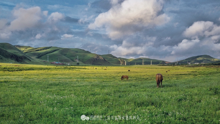这个夏天来塞罕坝看看吧,坝上草原森林