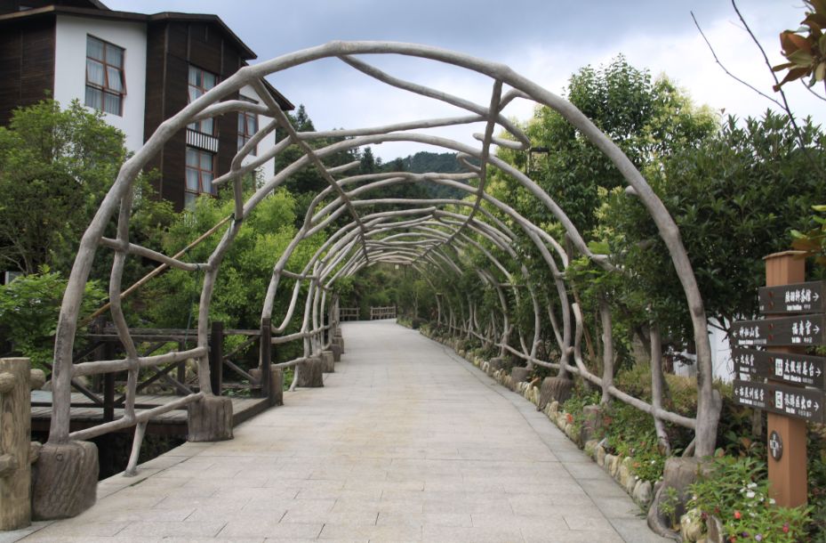 三清山国庆节过后门票免费开放,上饶三清山国庆节免门票吗