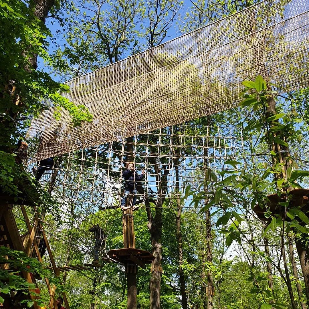 鏍戦《鎺㈤櫓鍏洯娓哥帺,鏍戦《鎺㈤櫓鍏洯娓哥帺鏀荤暐