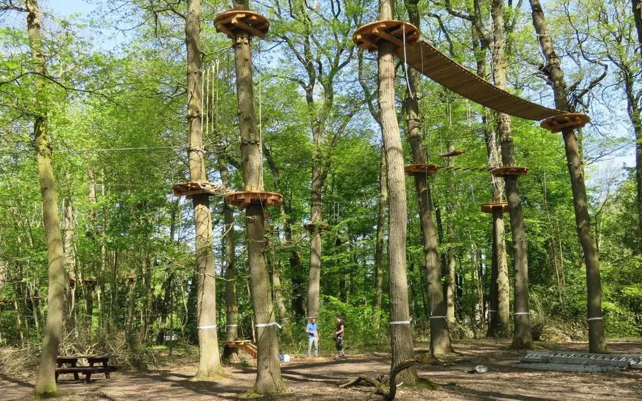 鏍戦《鎺㈤櫓鍏洯娓哥帺,鏍戦《鎺㈤櫓鍏洯娓哥帺鏀荤暐