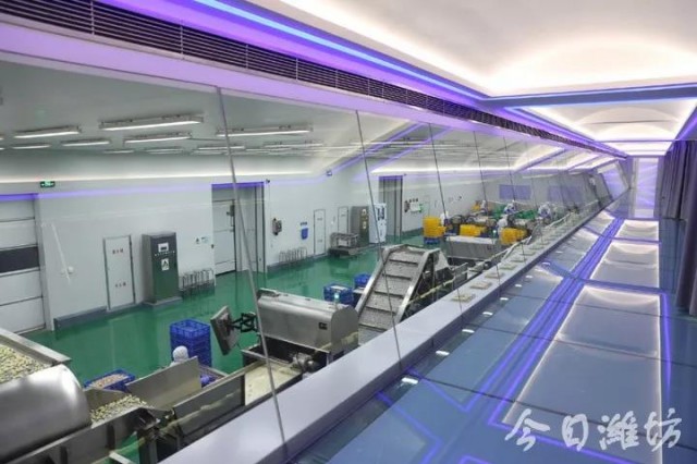 乡村振兴双百典型示范工程,乡村振兴项目四个一批