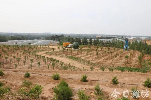 潍坊安丘乡村振兴,乡村振兴十大项目推荐