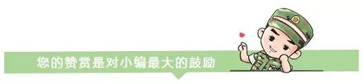 强军杯体育比赛,2023强军杯篮球赛武警部队赛区