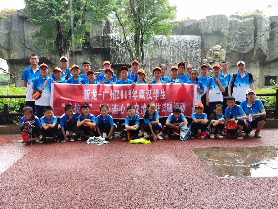 这个暑假不一样初二,这个暑假不一般读书感想