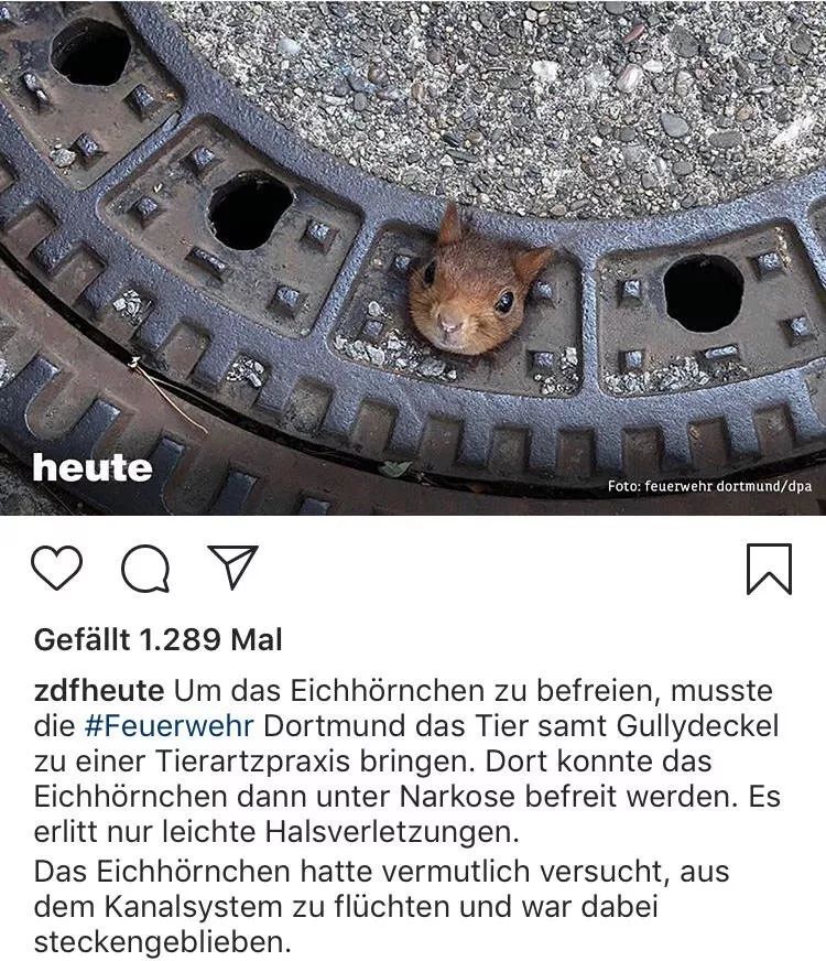 消防员才是人们心目中真正的超人,万能的消防员比什么都有安全感