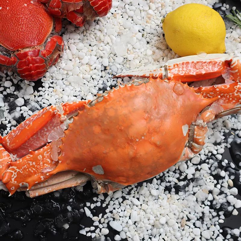 夏季上海海鲜大餐,上海美味海鲜自助餐