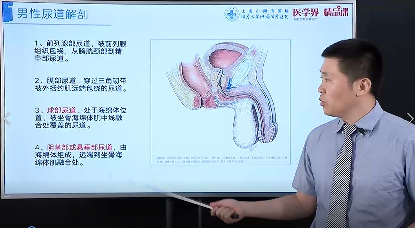 泌尿外科医生的「尿道修复重建」超实用锦囊