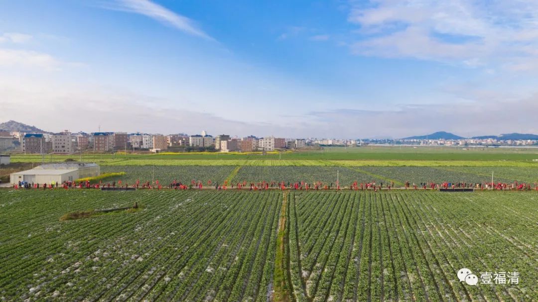 每年晋位提升，福清的颜值和实力就是这么出色