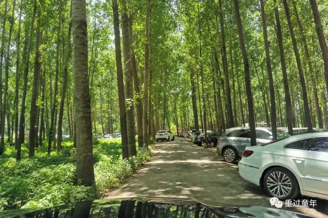 值得一去的农家乐推荐,山间农家乐值得去吗