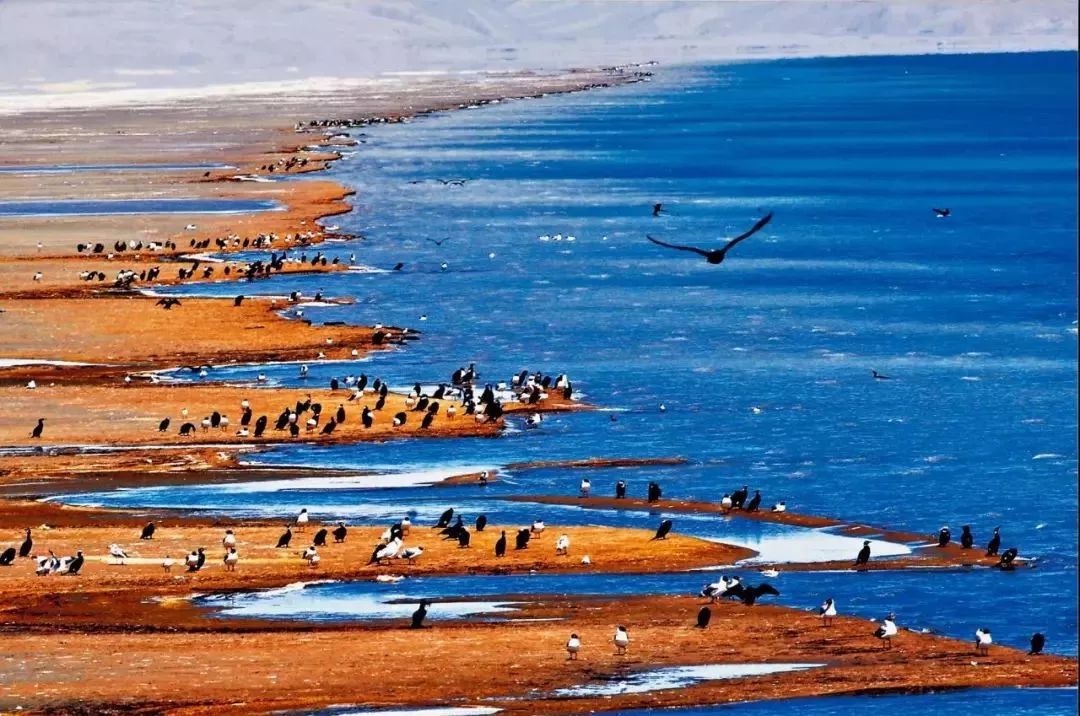 青海别称,青海省的代表美景是什么