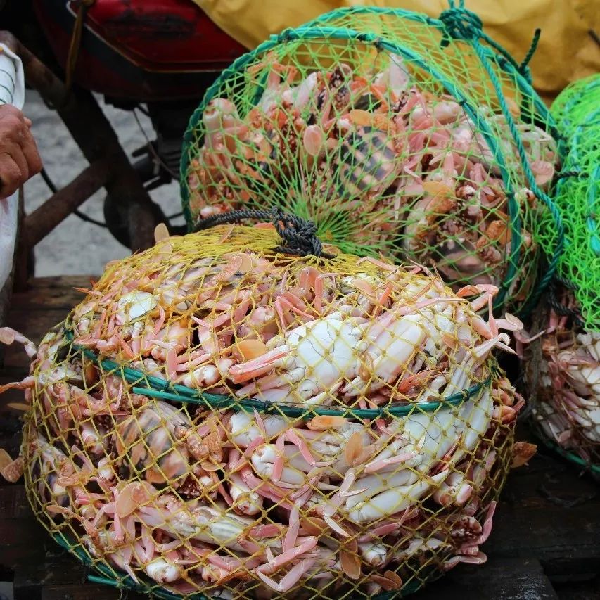 湛江有没有好景点,湛江有没有什么景点