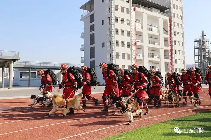 不忘初心警魂牢记使命,不忘初心牢记使命公益救援