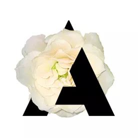 寻人启事叛逆期,寻人启事最快的方法