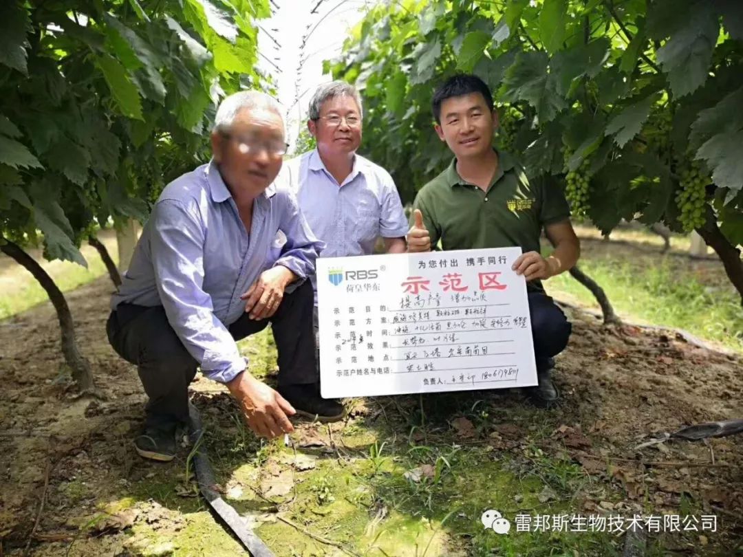 农资年入百万,农资挣钱