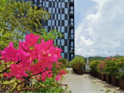 青舍行走｜大城隐士张军的「自在」路