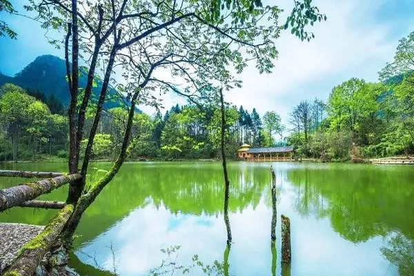 成都附近天然氧吧旅游,成都天然氧吧