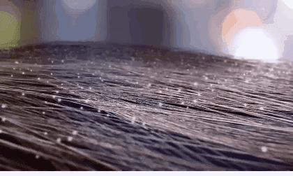 防脱发的生姜洗发水安利,官方推荐防脱洗发水