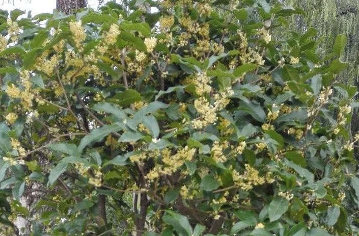 创业者如何挖掘好的投资项目,为什么创业者觉得融资难