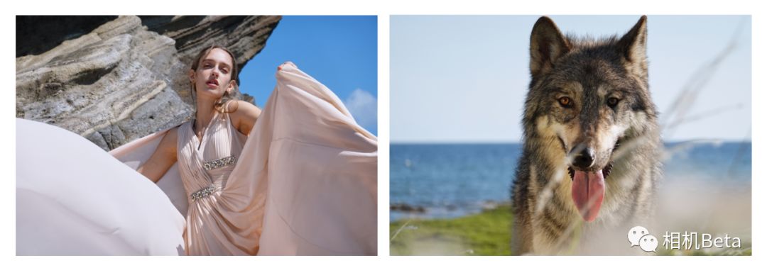 索尼黑卡R10系列,索尼黑卡rx10第四代