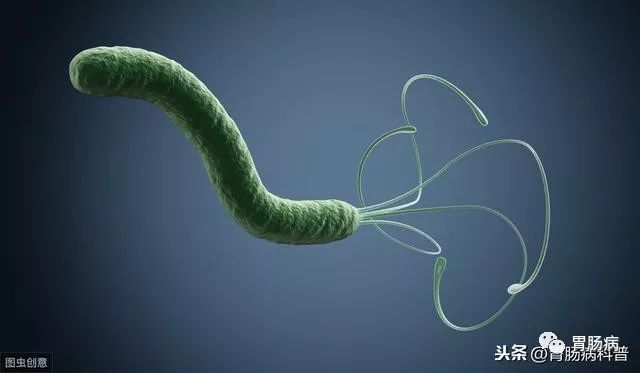 网上说幽门螺杆菌是胃癌的元凶，我查出来阳性，但没有症状，会不会得胃癌？要不要治疗？