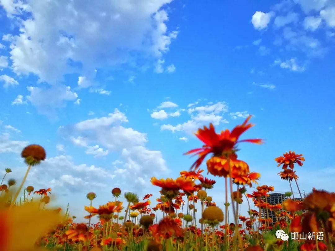 一分钟了解邯郸邯山区,邯郸邯山区介绍