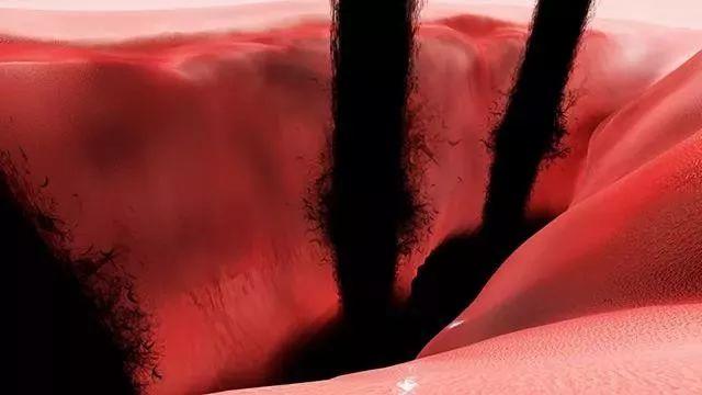 狮子王为什么会反降,新版狮子王还会延续吗