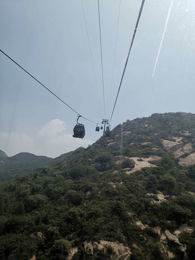 一家老小向前冲300集连续播放,一家老小向前冲共800集