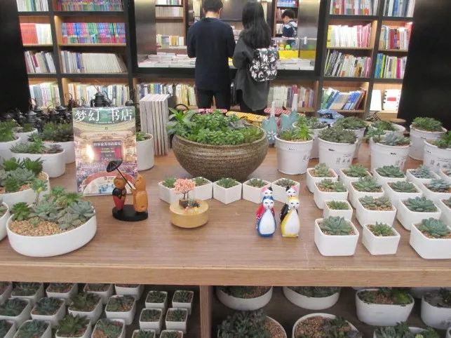 都上央视了！大学校园书店怎么突然这么火？