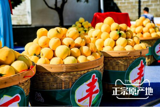 炎陵黄桃品牌,炎陵黄桃品牌排行