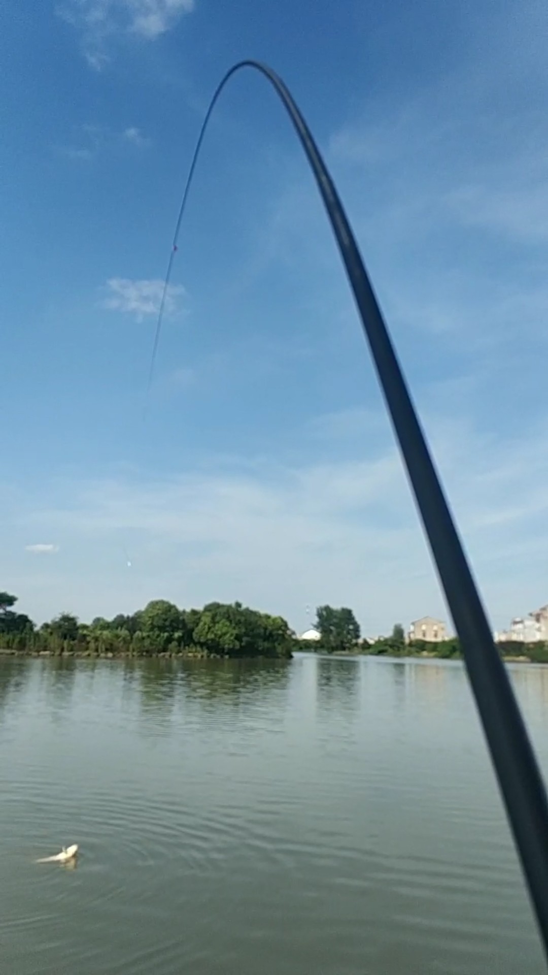 钓鱼享百味人生,钓鱼享乐趣