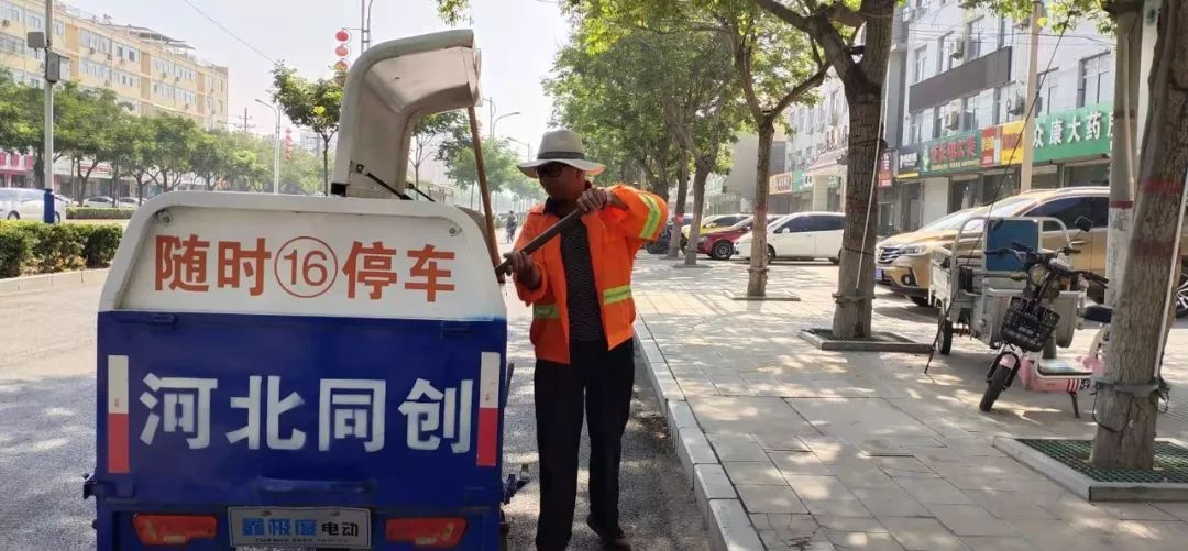 高温下，磁县娇艳的“城市黄玫瑰”