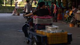 广州市水果市场热闹吗,广州水果市场有杨梅