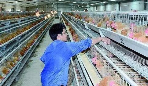 广西玉林世界500强企业,广西玉林龙头企业排名