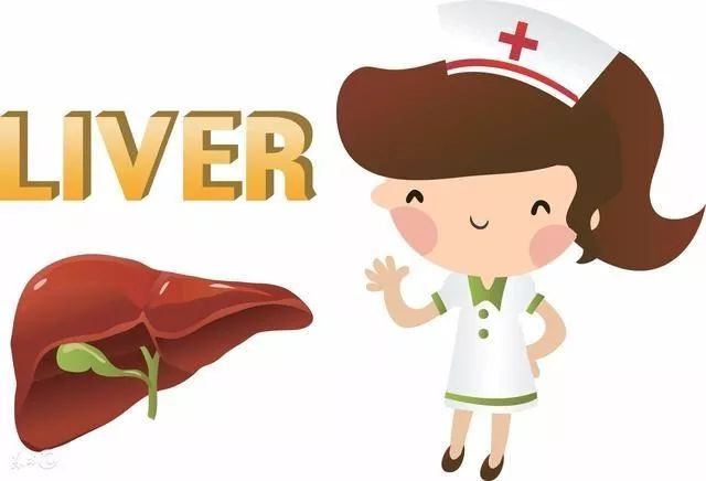护肝,选择高支链氨基酸饮食