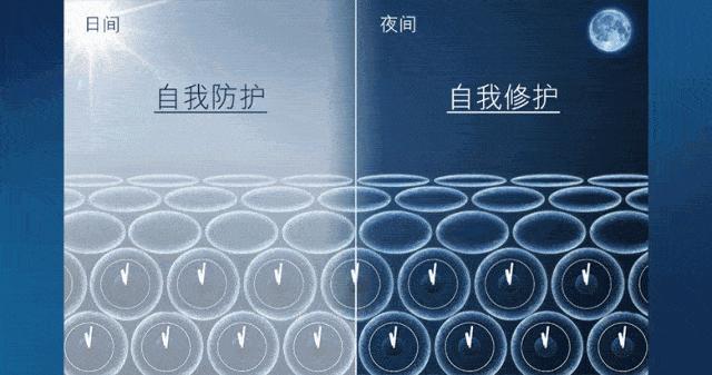 女星秒变“网瘾少女”，3C病“瘾”斑出击，失去远比看到得多