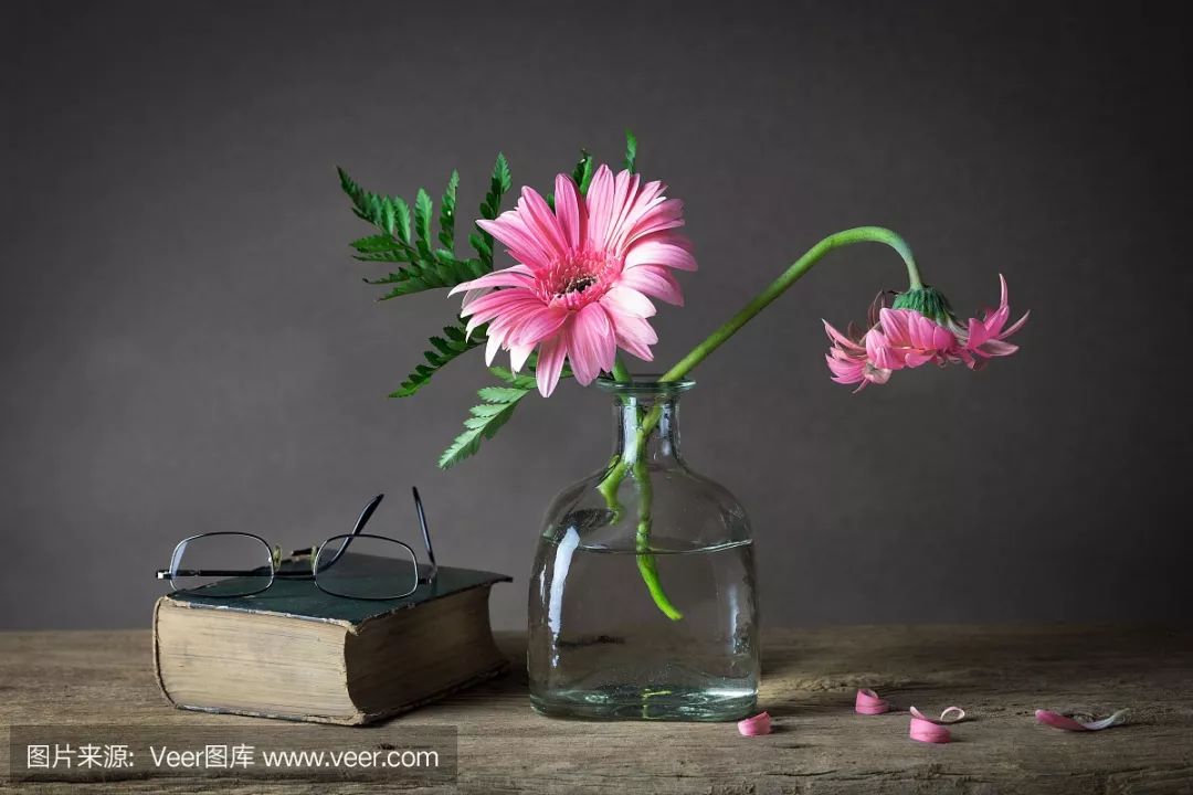 涔﹂娉曢櫌,涔﹂娉曢櫌灏忚