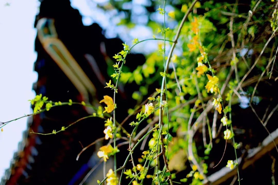 书法创作最雅致的200首对联,古今经典最著名的十副对联