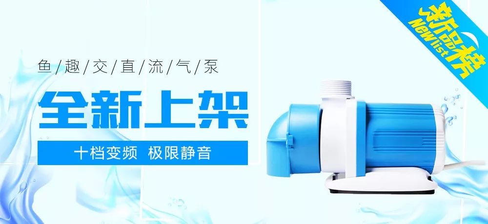 罗汉鱼开缸全过程,罗汉缸需要多少钱