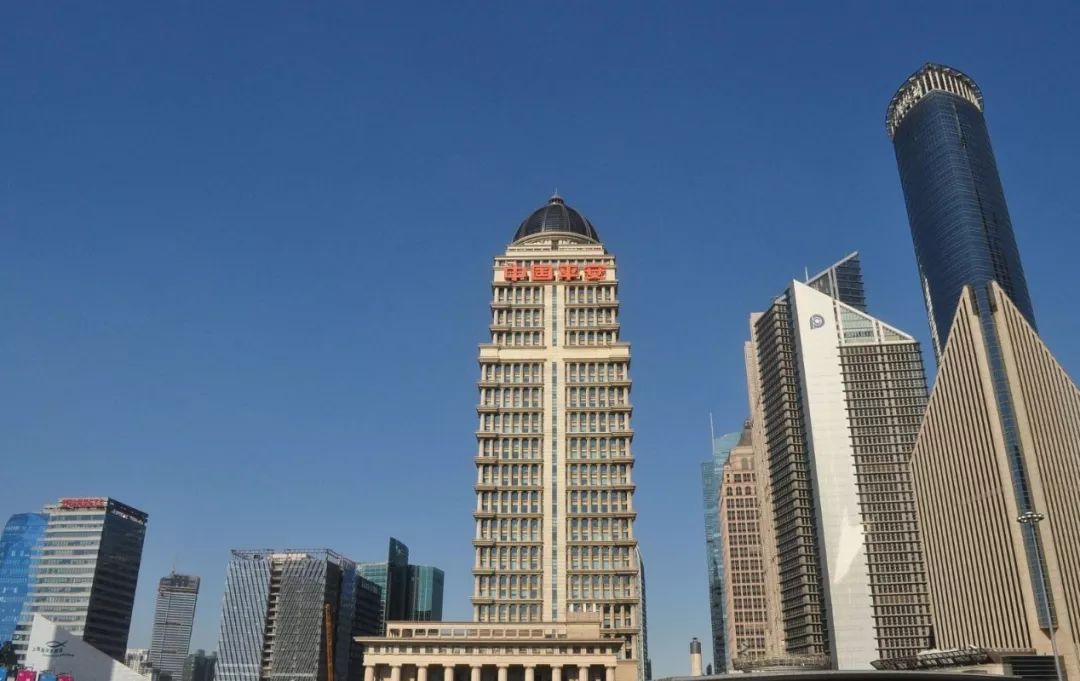 雪贝的故事,雪贝的精彩故事