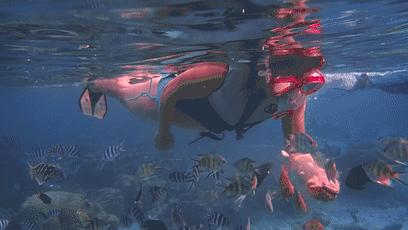 3月特价机票去哪里玩好,7月特惠机票