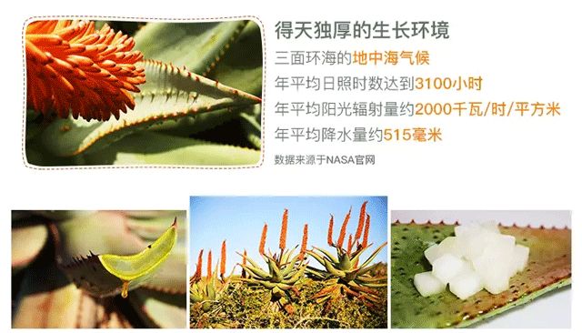 芦荟胶补水保湿提亮肤色晒后修复,祛痘晒后修复保湿补水芦荟胶