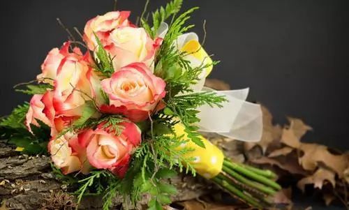 送朋友的情侣项链100左右,送cp的项链