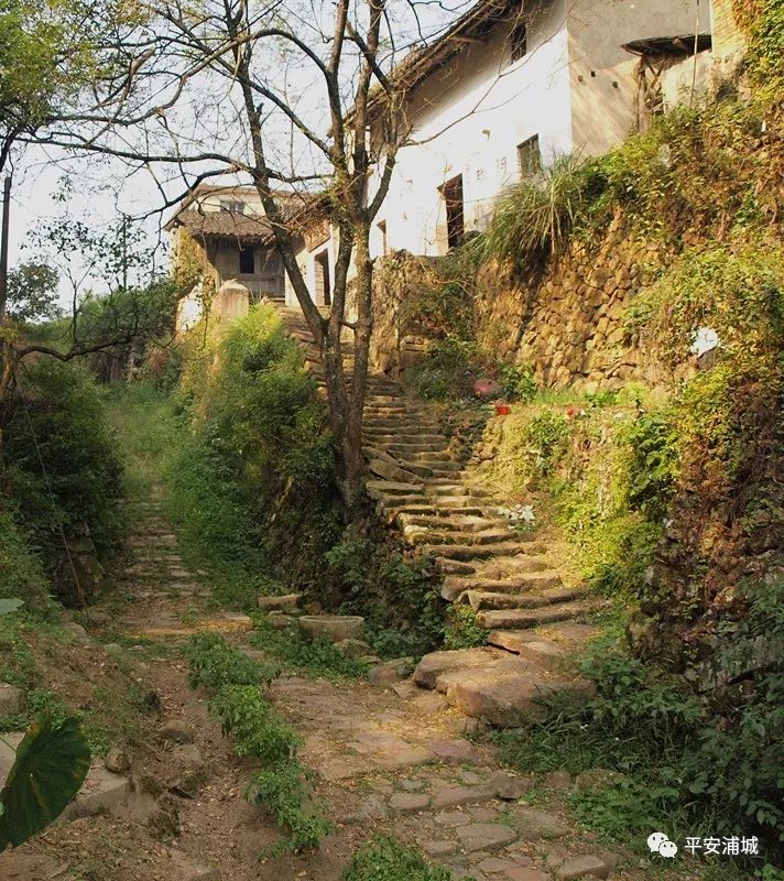 骞冲畨娴﹀煄鍓焊鍥剧墖,骞冲畨娴﹀煄