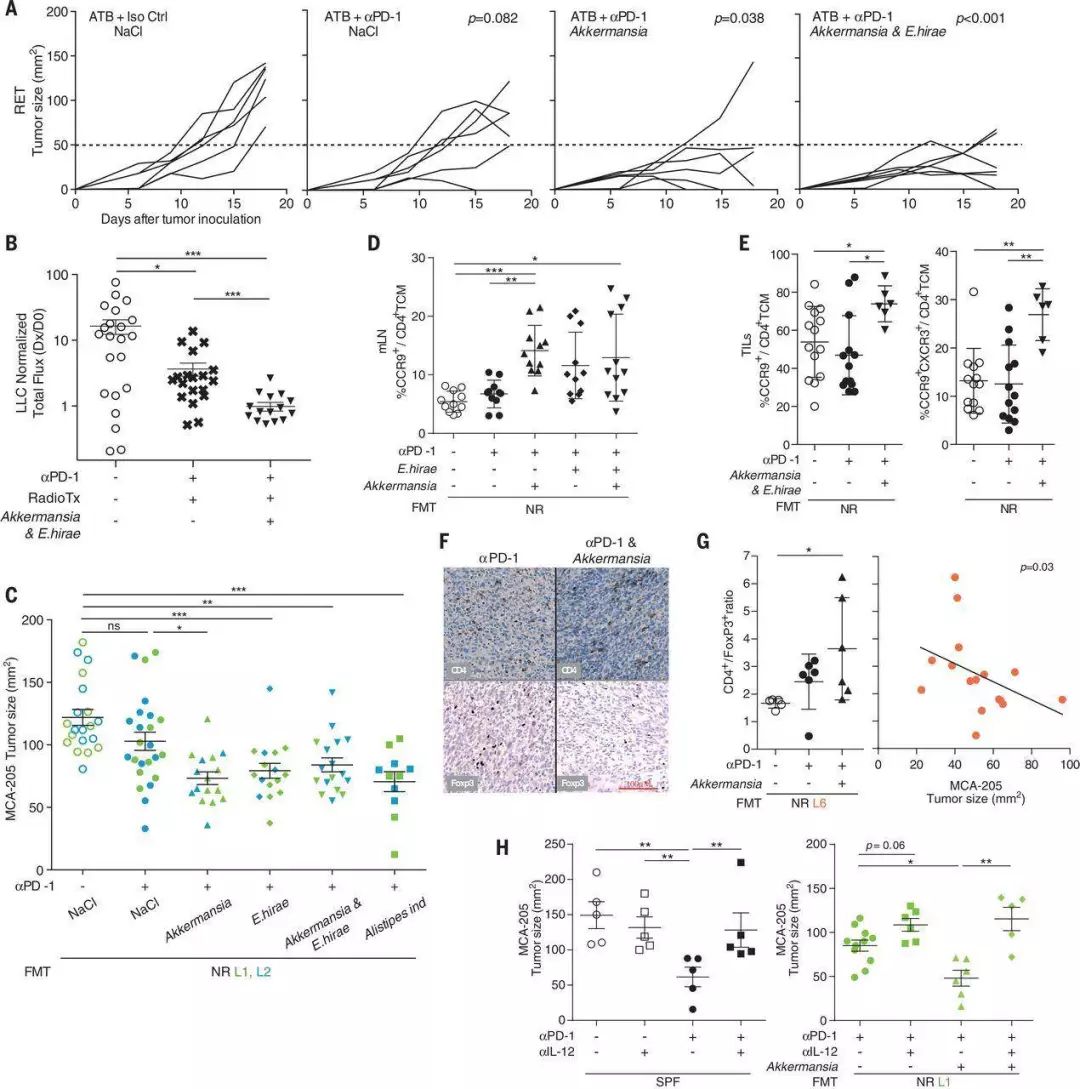 akk益生菌,益生菌akk瘦子菌推荐