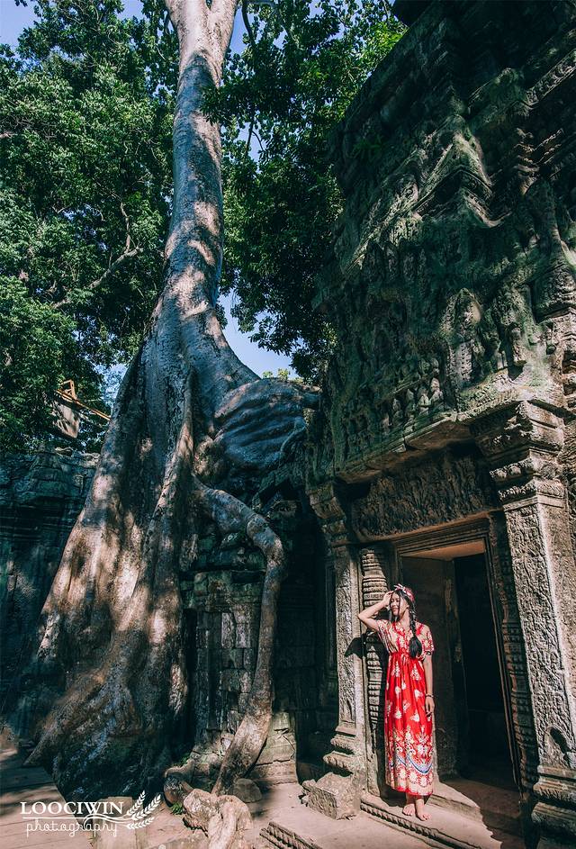 柬埔寨暹粒吴哥王朝,暹粒吴哥迷城游记