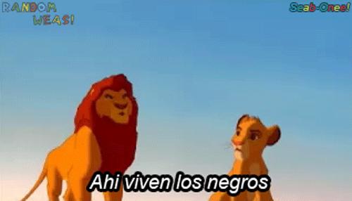 上海各区重点学校名单,上海2021重点大学211