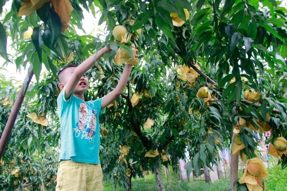购购购！今天这里超热闹