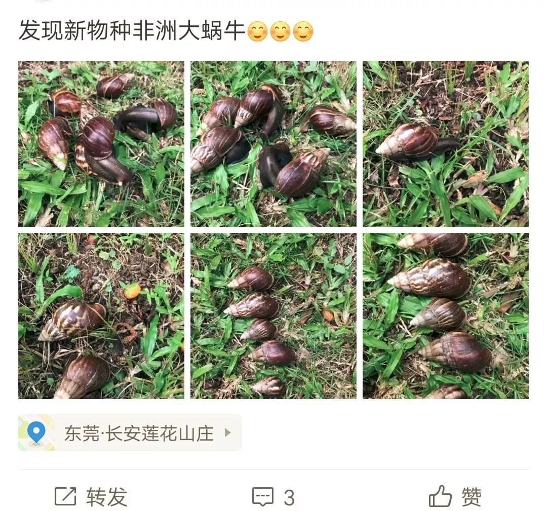 得了脑膜炎很可怕,最新疫情带来的脑膜炎